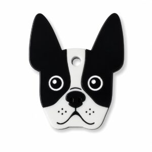 Boston Terrier