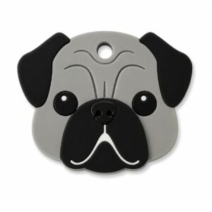 Pug
